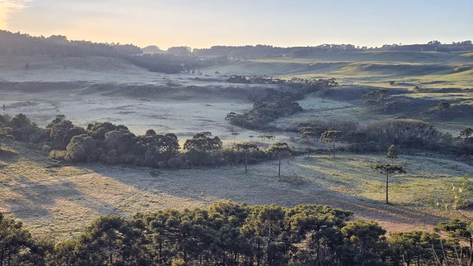 De 30°C a -4°C: ciclone extratropical e ar frio derrubam temperaturas em SC