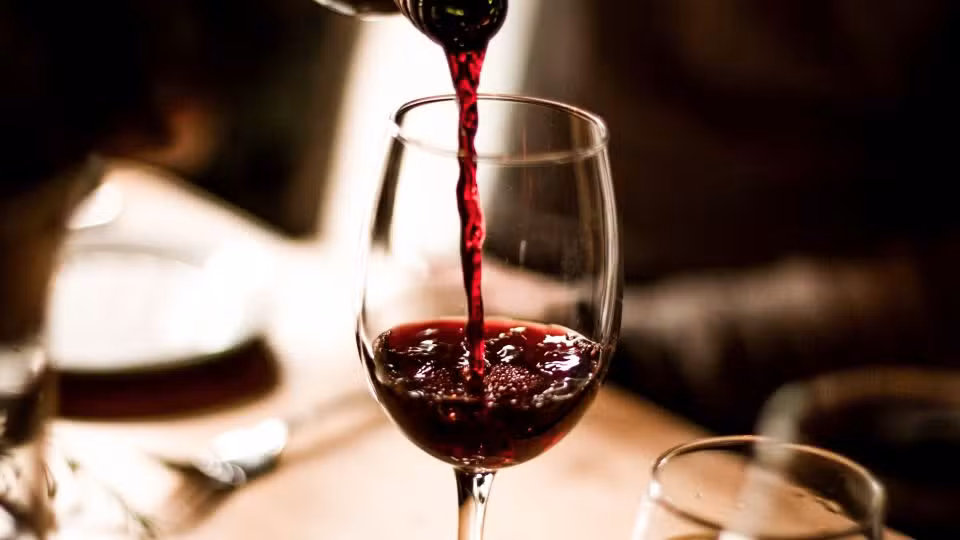 Calor extremo ameaça produção de vinho na França e acelera colheita de uvas