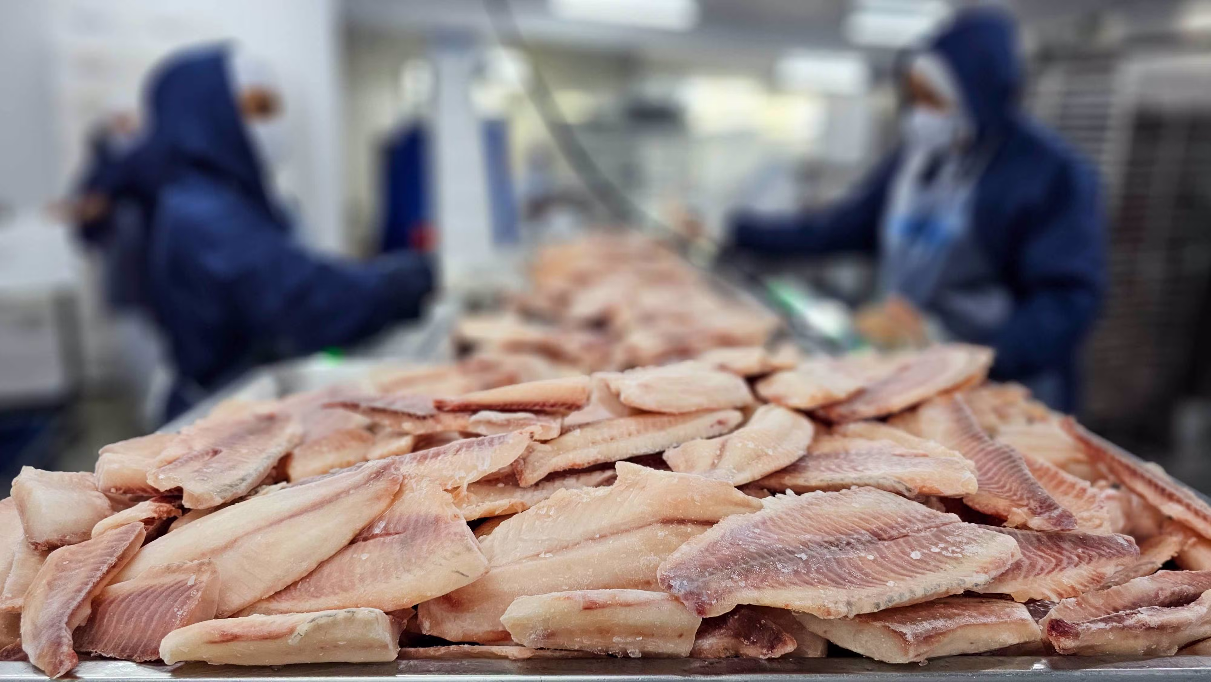 Tarifaço de Trump: maior associação de pescados dos EUA defenderá produto brasileiro em audiência
