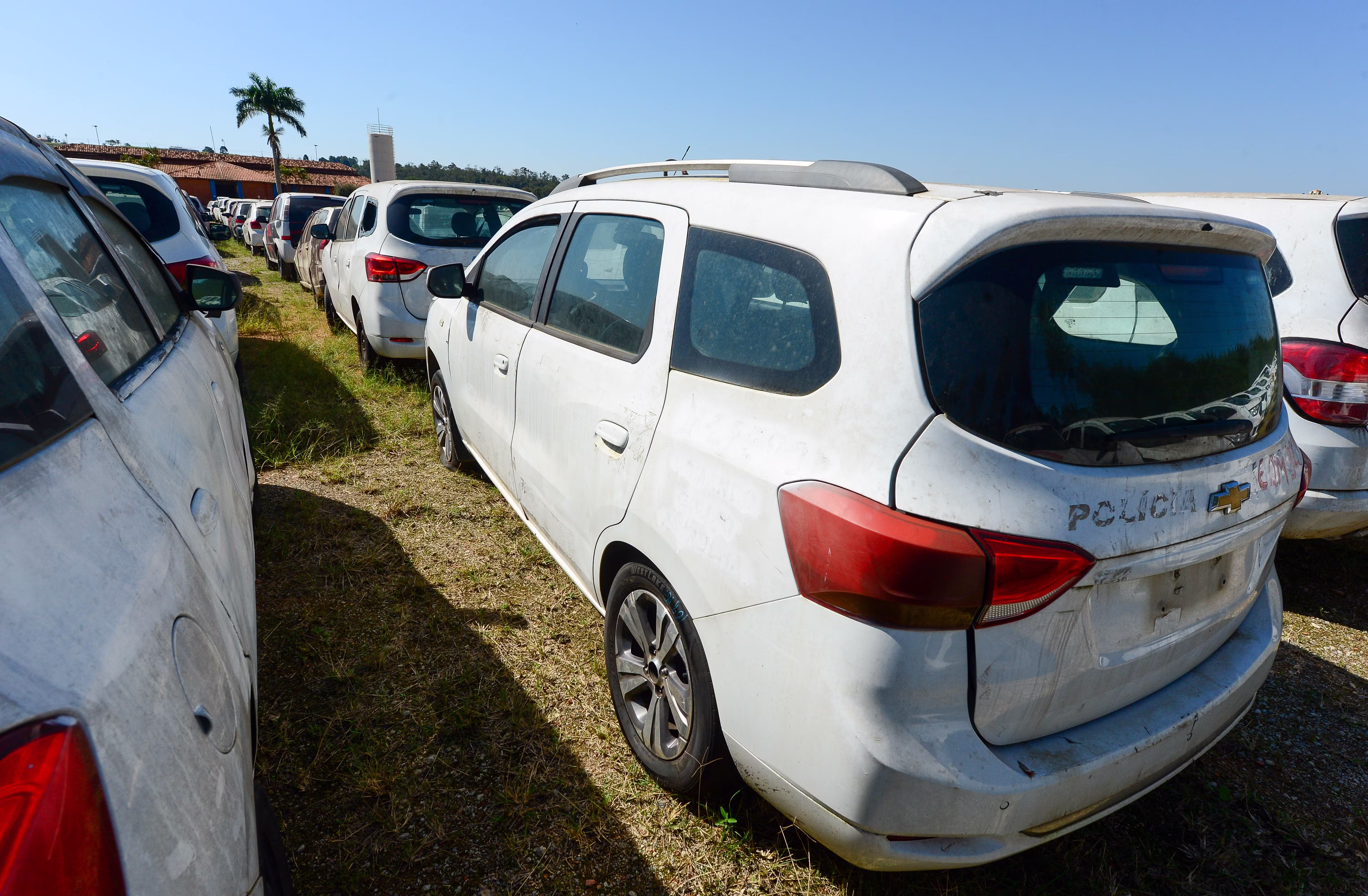 Veículos oficiais leiloados estão livres de débitos e podem voltar a circular; lote está disponível no interior de SP
