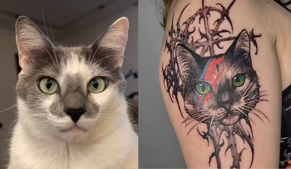 Psicóloga do interior de SP usa cinzas do próprio gato em tinta de tatuagem para homenageá-lo