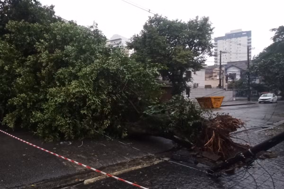 Santos registra 74% da chuva de junho em apenas um dia; morros estão em atenção