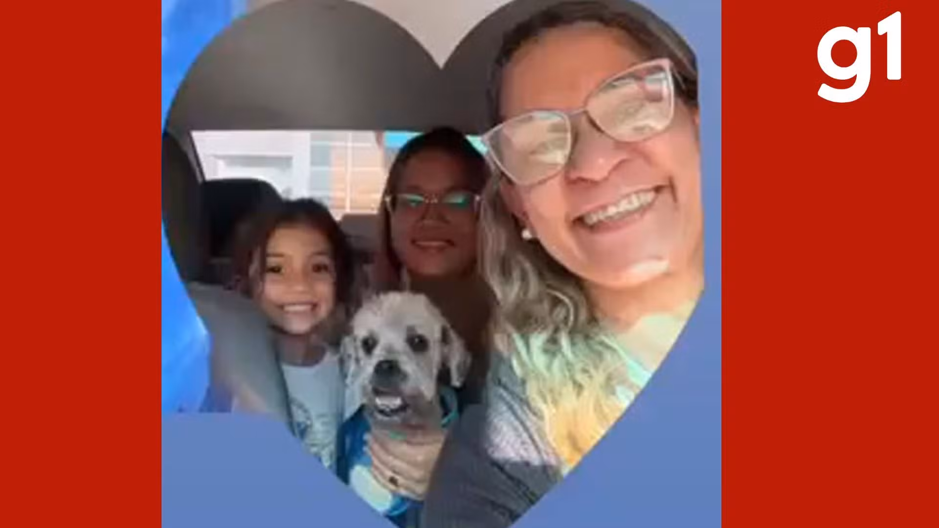 Caso Teddy: cachorro que sofreu queimaduras em pet shop clandestino recebe alta em Cuiabá