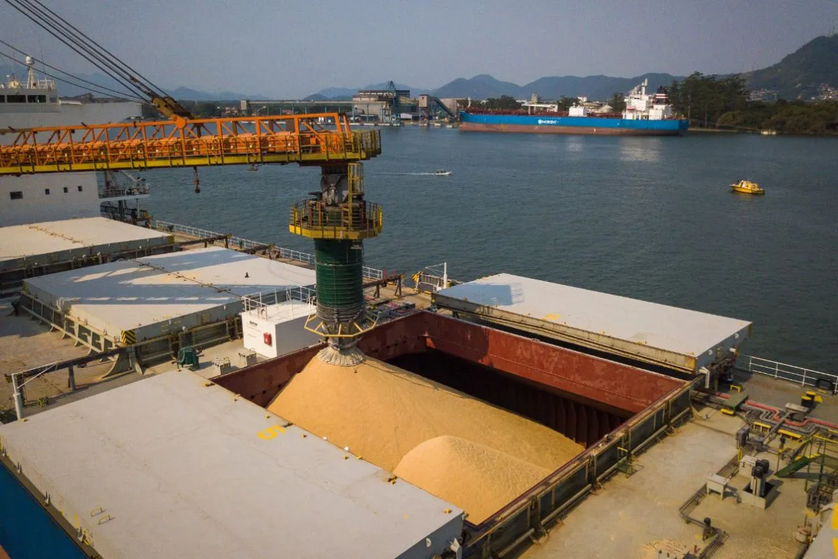 Porto de Santos firma acordo com complexo chinês para estudar transbordo de soja em alto