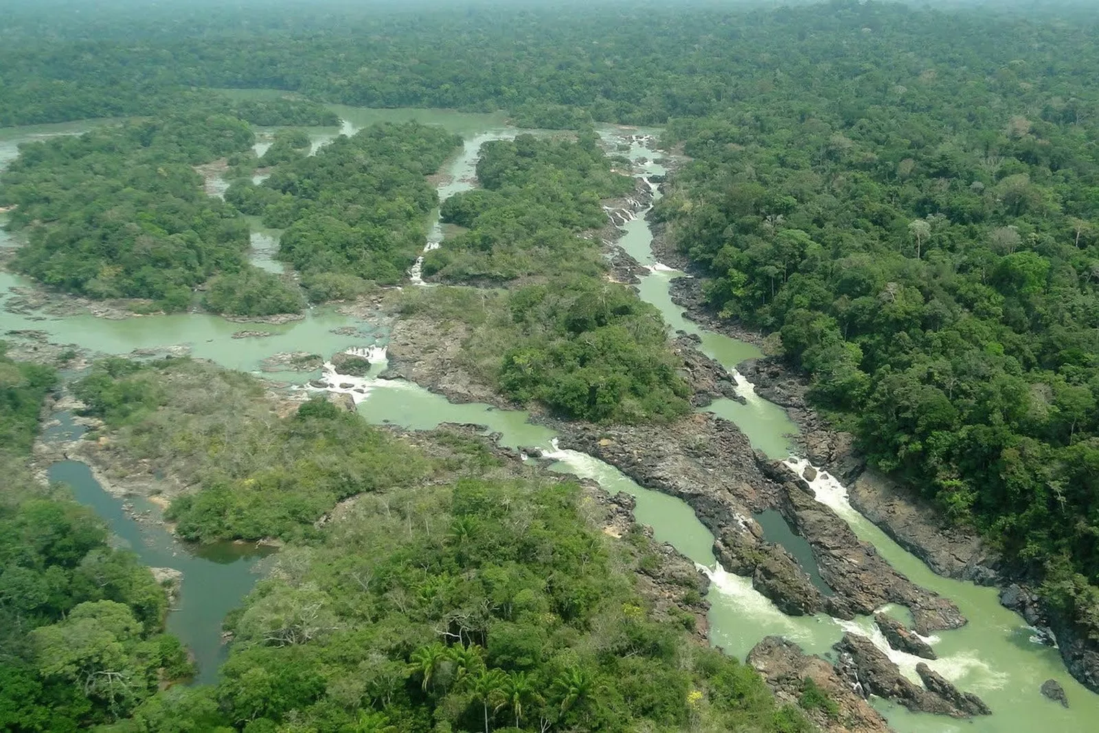 Senado aprova proposta que reduz em quase 40% de floresta no Pará e dificulta multas ambientais