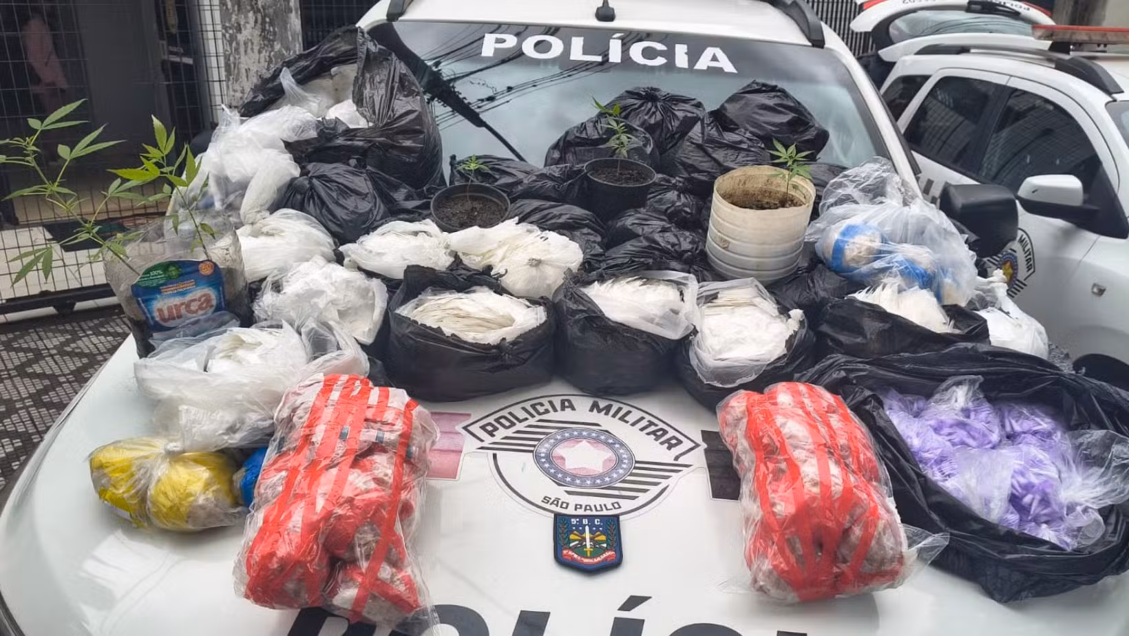 Mulher é presa com mais de 46 kg de drogas escondidos em fundo falso no quintal de casa em Taubaté