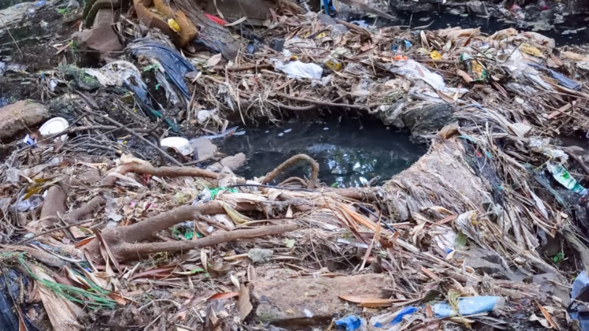 Denúncia de contaminação: Fiscais do Estado vistoriam Parque do Sabiá