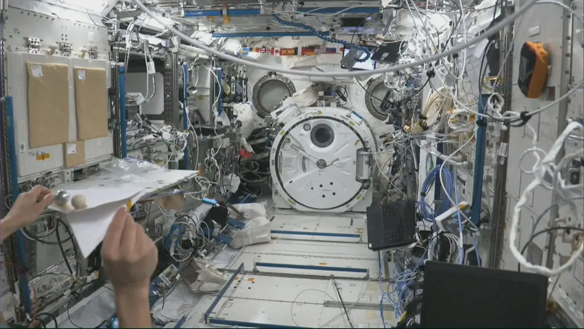 Astronauta testa avião de papel na Estação Espacial Internacional em experimentos científicos