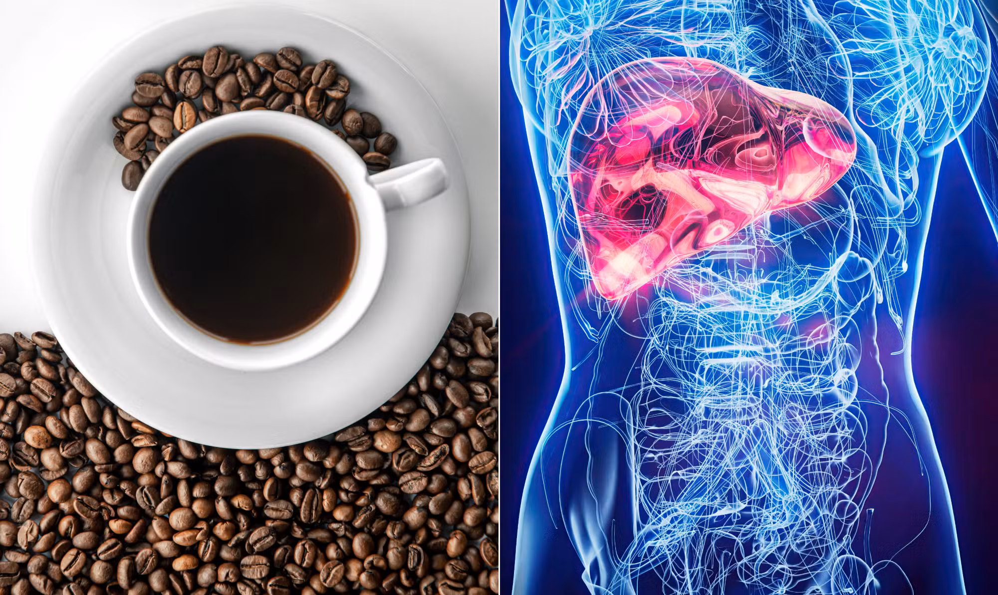 Café e saúde hepática: estudo revela que seu consumo pode reduzir o risco de cirrose e câncer de fígado