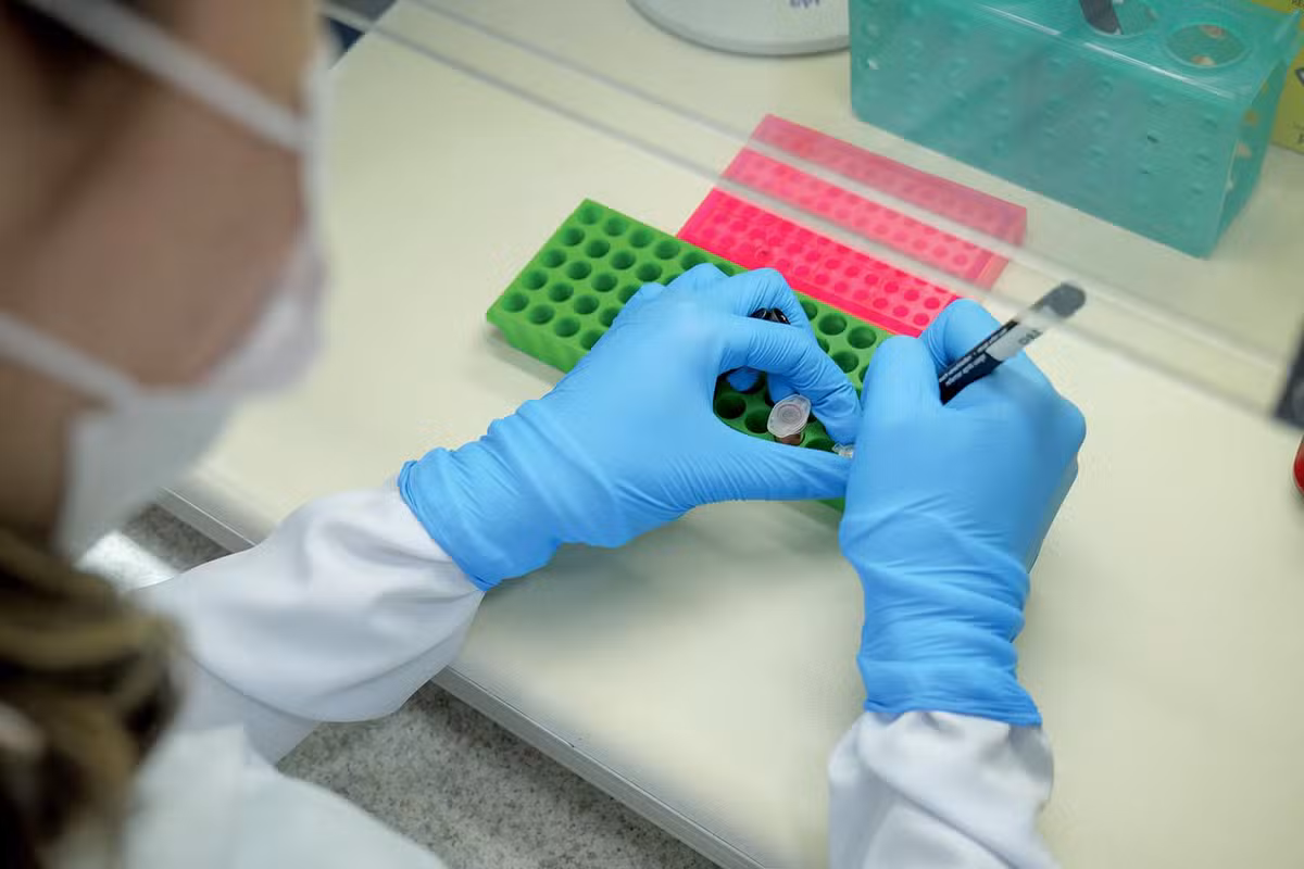Instituições brasileiras avançam no desenvolvimento de tratamentos e diagnósticos com ajuda da biotecnologia
