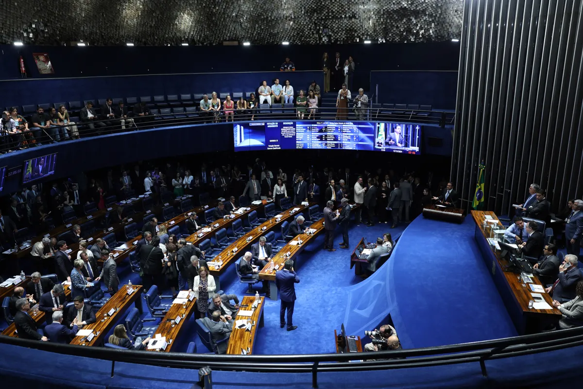 Por que votar em dois senadores nas eleições 2026?