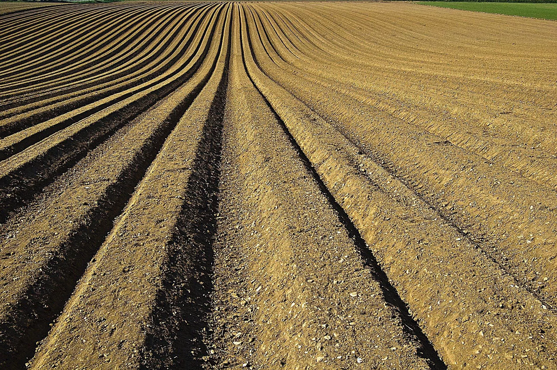 Brasil busca oferta emergencial de fertilizantes com Rússia, China e Marrocos
