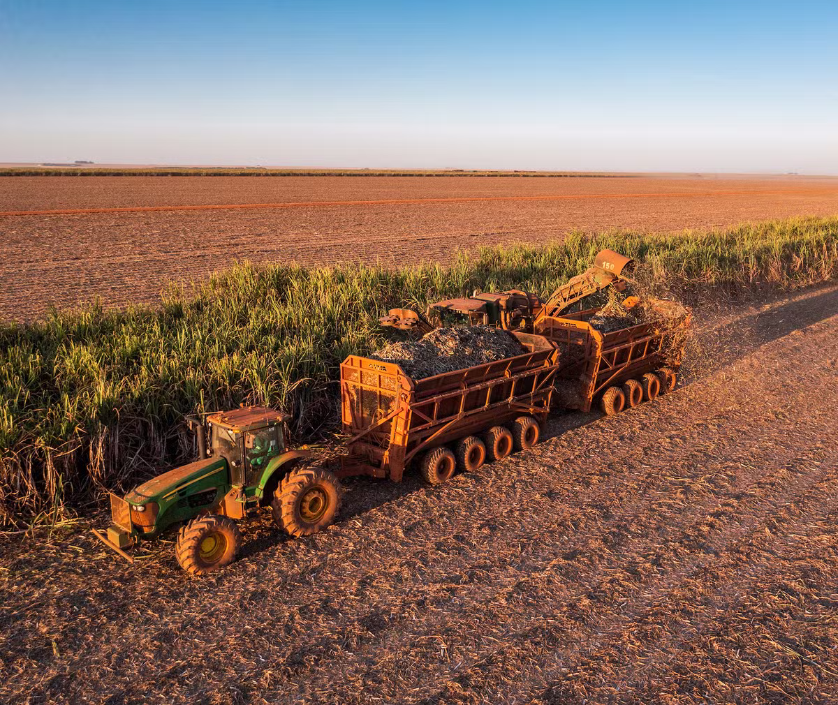 Campo lidera a oferta de energia verde
