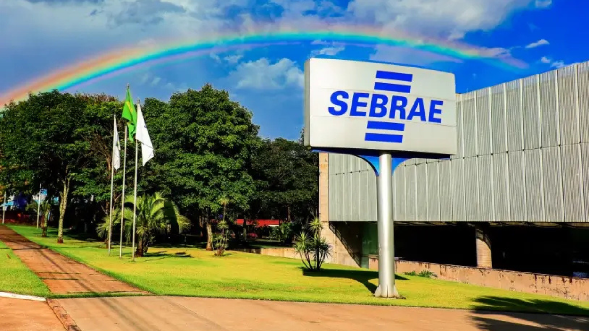 Prêmio Sebrae Startups anuncia o Top 100 de startups mais promissoras do país