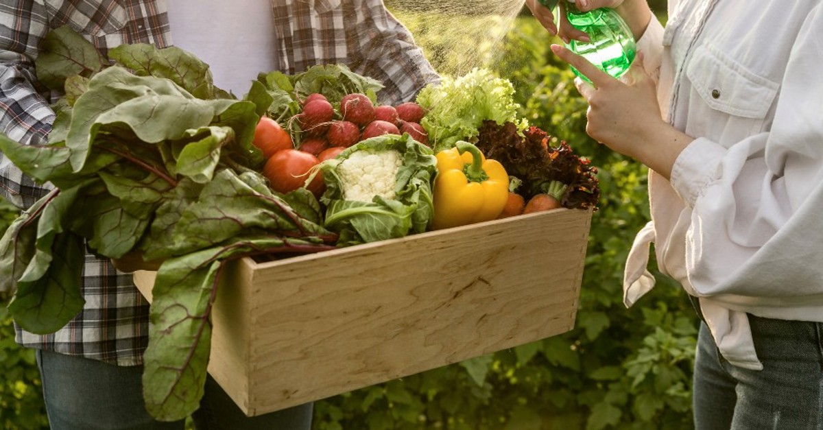 Câmara aprova Política Nacional de Agroecologia e Produção Orgânica