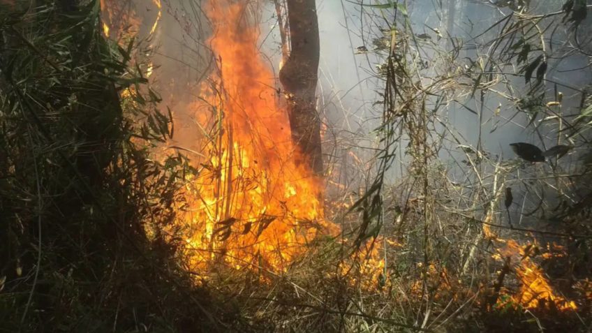 Governo destina R$ 337,5 mi para combate a incêndios e fiscalização