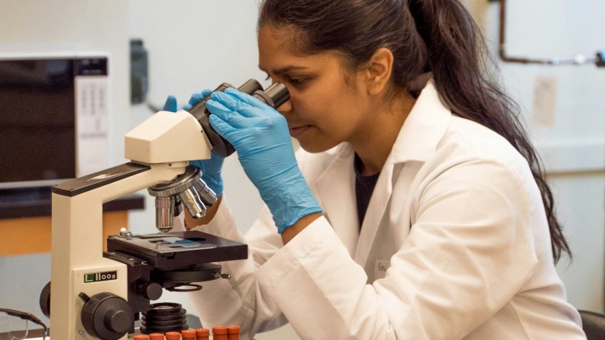 Cientistas propõem medidas para conter fungos resistentes a medicamentos