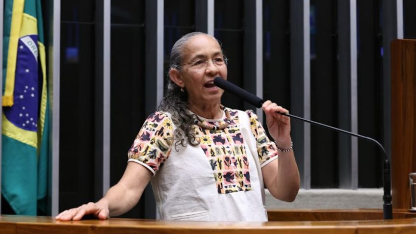 Projeto cria “Disque Animal” para receber denúncias de maus