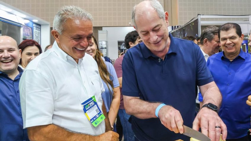 Ciro Gomes diz que não viu vídeo de Michelle sobre Flávio