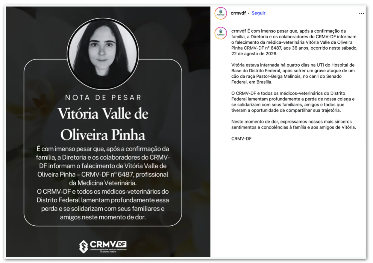 Veterinária atacada por cão do Senado morre aos 36 anos