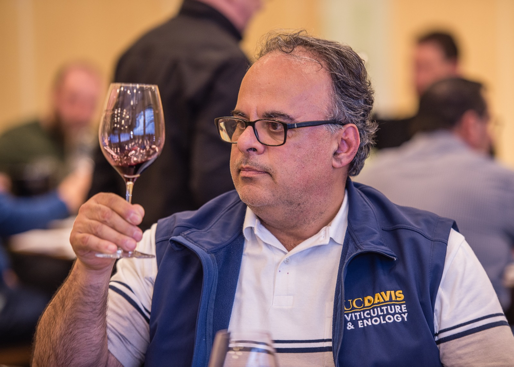 Avaliação Nacional de Vinhos julga 569 amostras a?