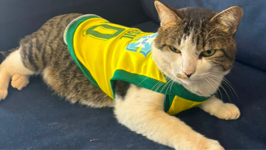 ‘Delegato’ Barthô entra no clima da torcida e conquista a Polícia Civil de Americana