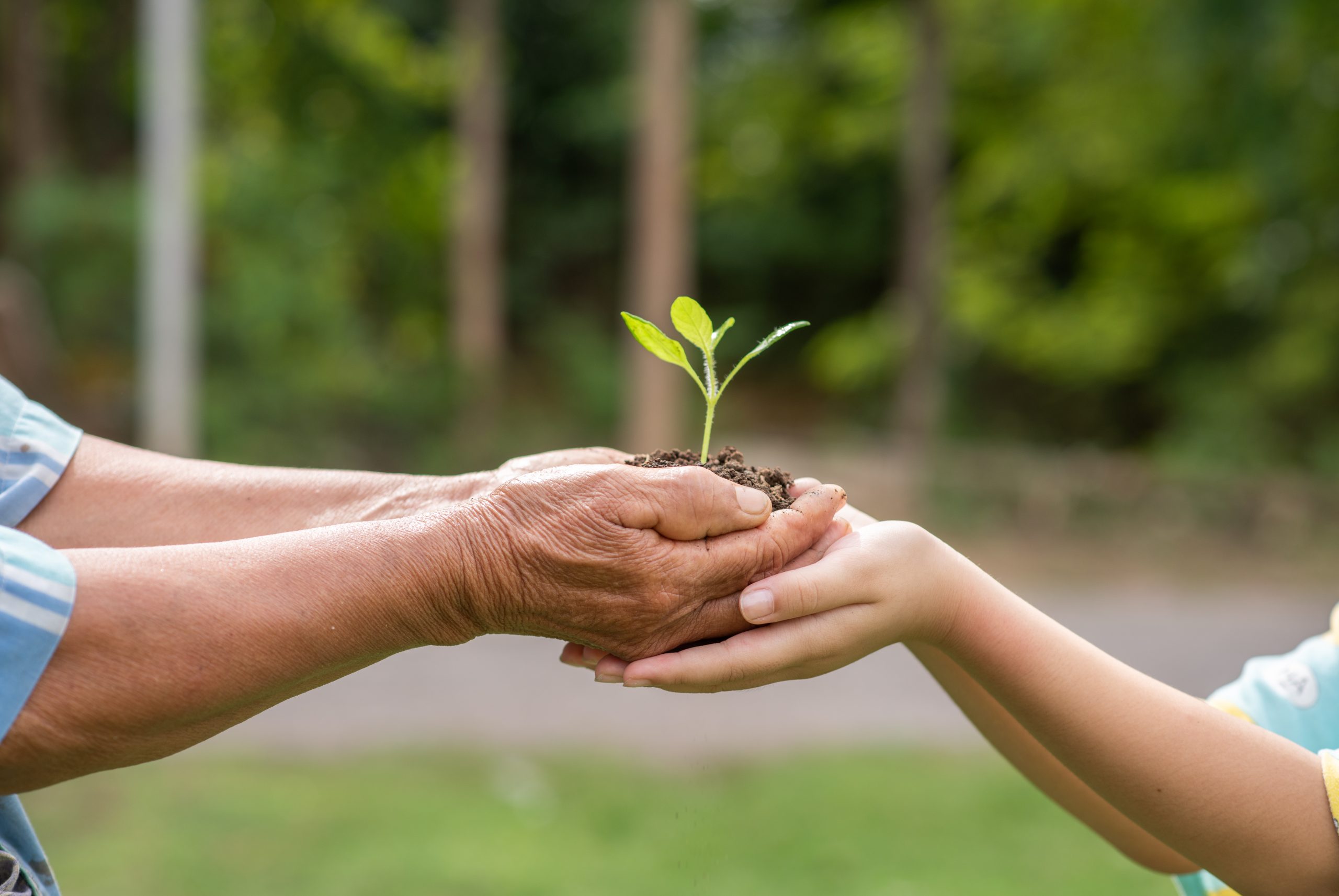 Cuidar do planeta transforma quem cuida