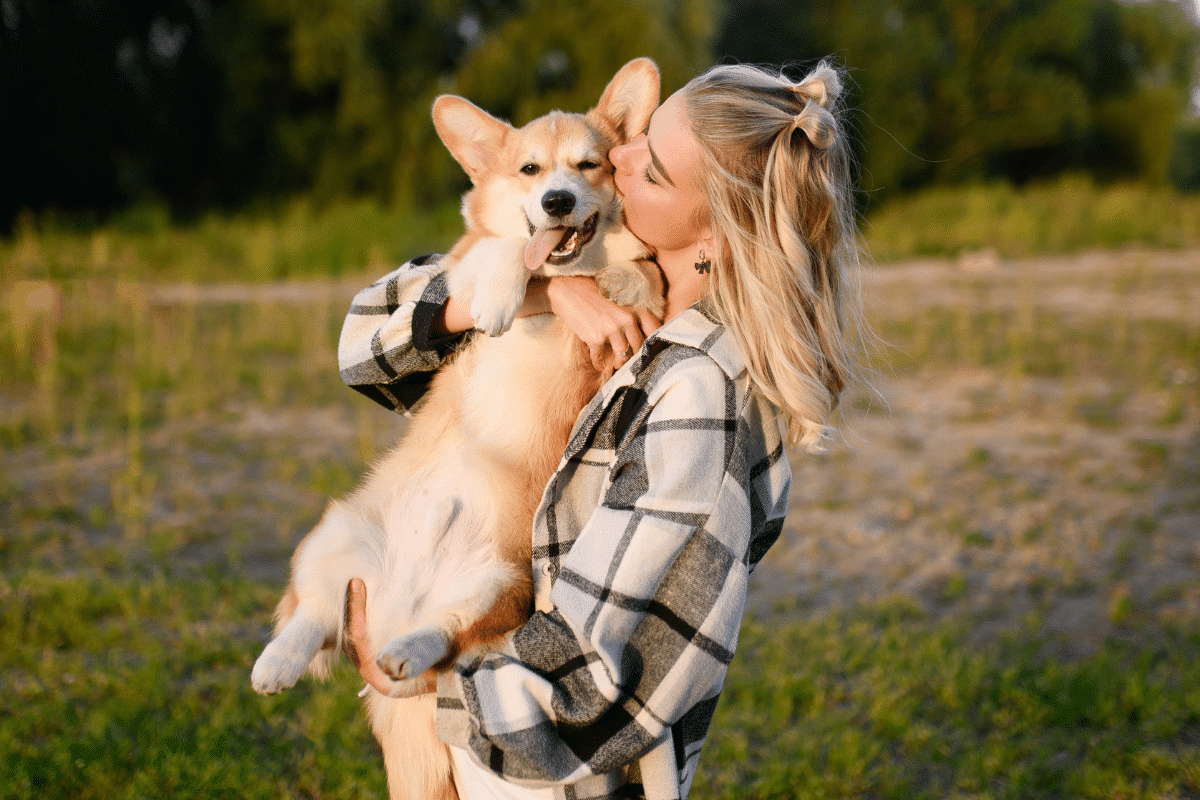 Encostar o focinho na mão e colocar a pata sobre o tutor: veja 6 sinais de que o cachorro quer carinho