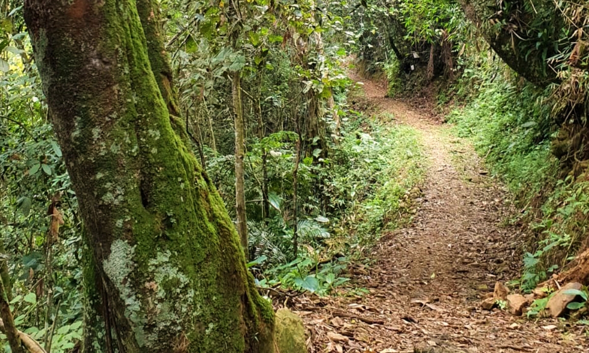 Sistema Nacional de Trilhas fortalecerá ecoturismo no Brasil