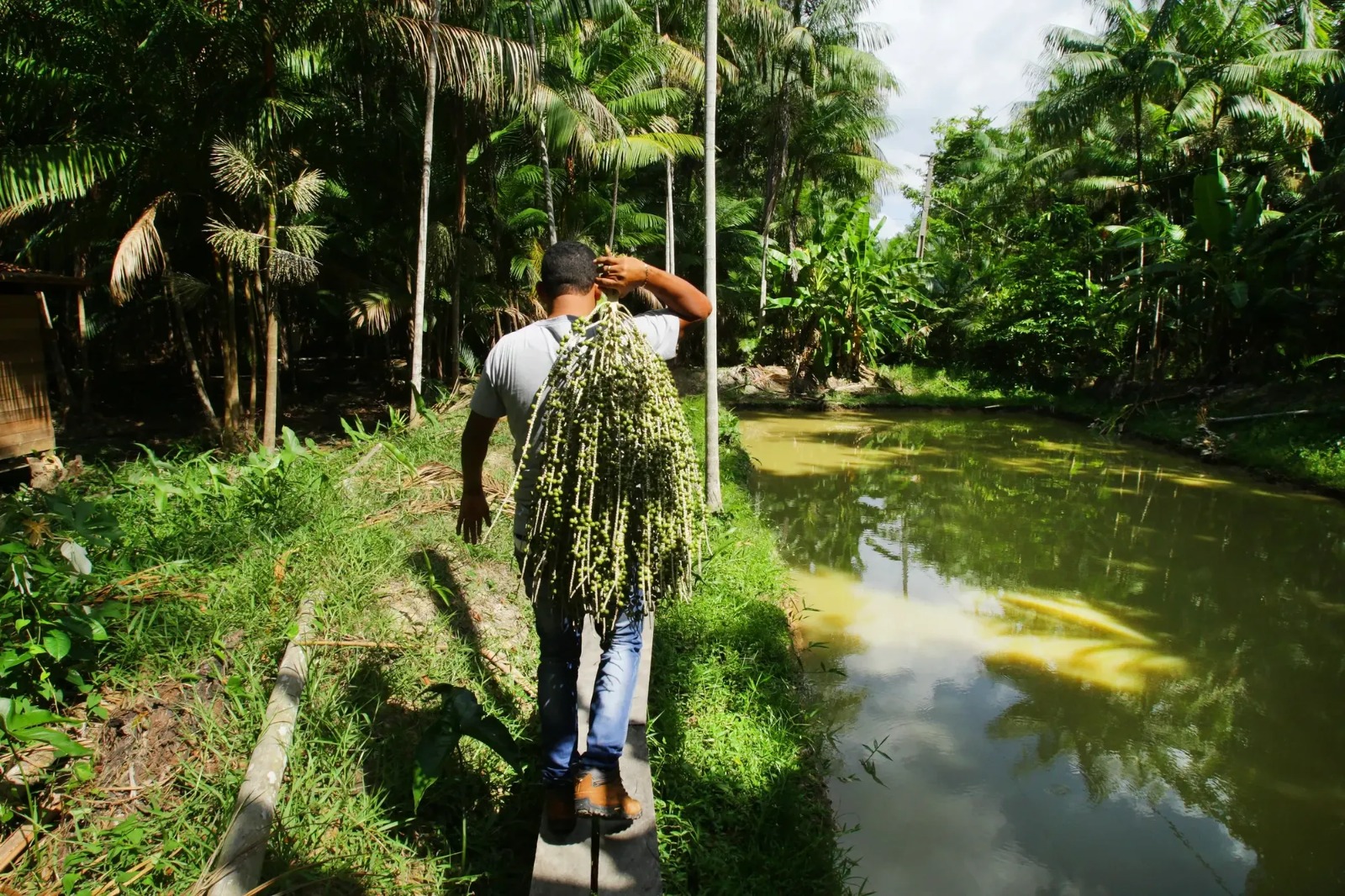Amapá concorre em chamada pública de R$ 50 mi para impulsionar inovação na Amazônia