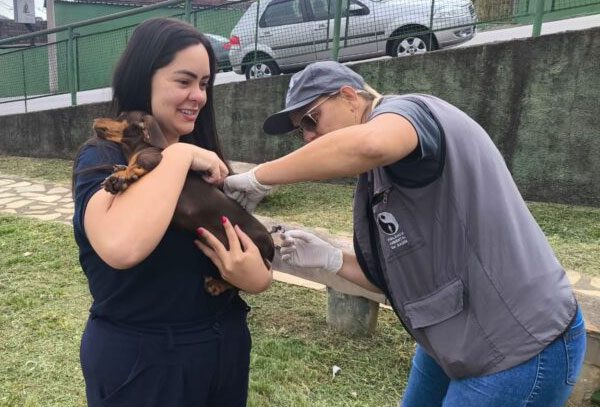 Ação antecipada de vacinação antirrábica imuniza mais de 1.700 animais em Poços de Caldas