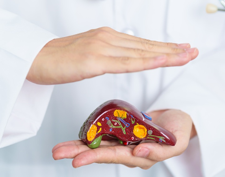 Estudo da USP indica genes que podem prever complicações da hepatite