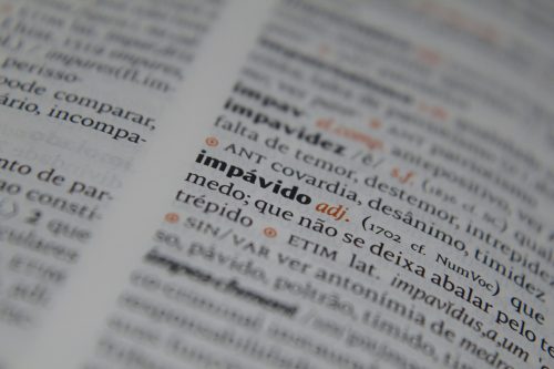 PEQUENO GLOSSÁRIO DA DIREITA PARA AS ELEIÇÕES