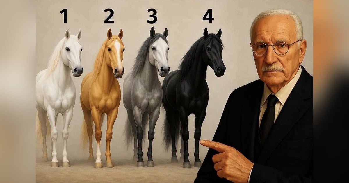 Escolha um cavalo e veja qual descrição combina mais com você